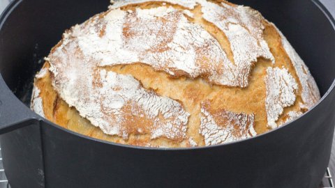 No-knead-bread