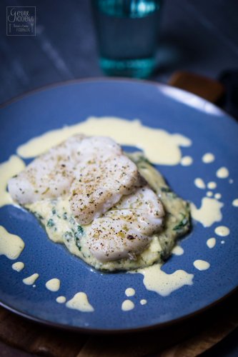 Confierter Kabeljau mit Spinatpolenta und Blitz-Hollandaise