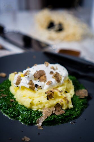 Kartoffelpüree mit Trüffel, Rahmspinat und pochiertes Ei