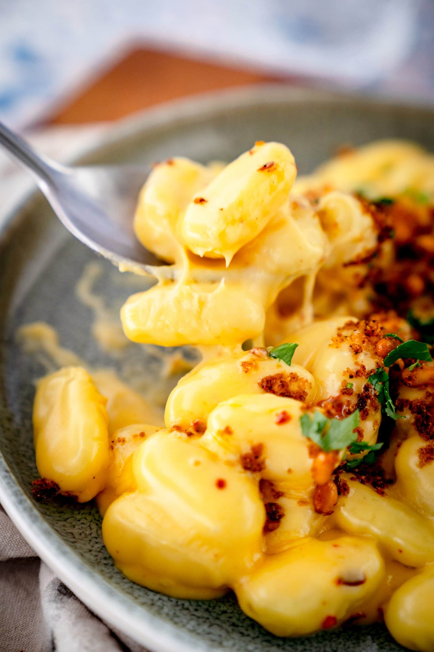 Gnocchi and Cheese