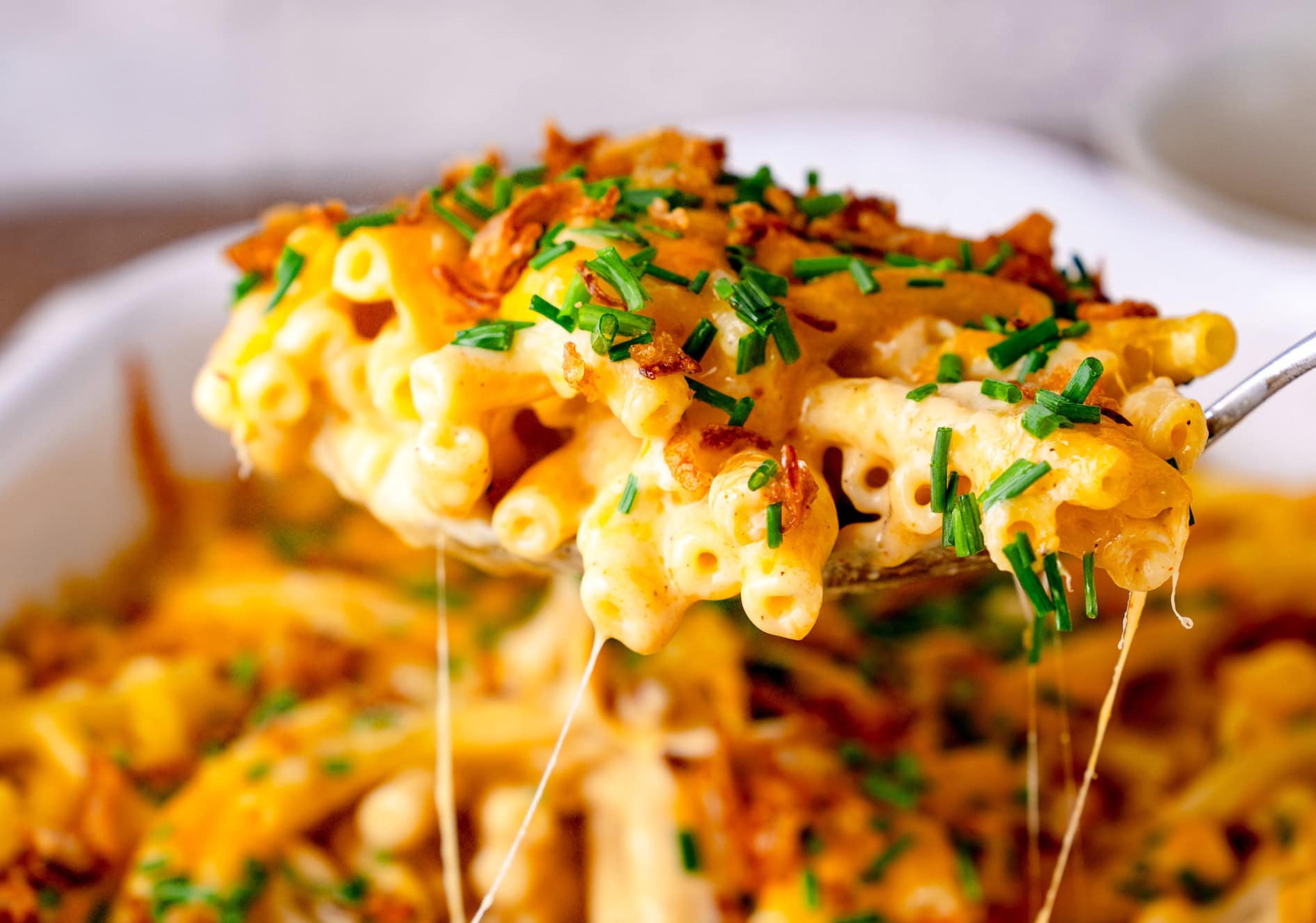 Mac and Cheese, frisch aus dem Ofen mit Käsekruste und Röstzwiebeln
